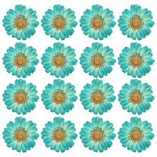 48 Pcs Dried Pressed Flower Natural Dried Daisy Flower for DIY Art Crafts Hou...
