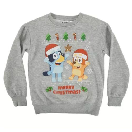 Bluey Christmas Sweatshirt Kids Boys Girls Gray Cartoon Bingo Shirt Size Large L