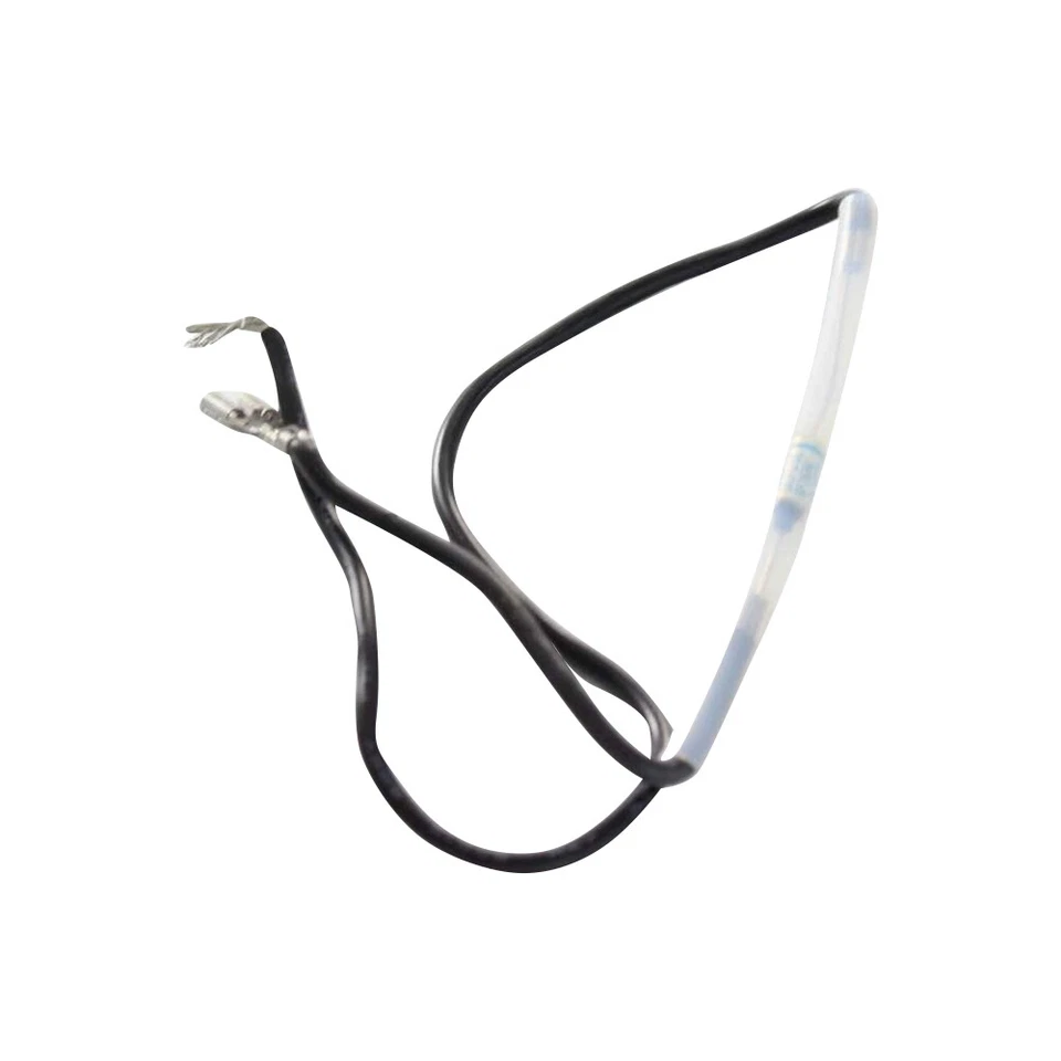 Delonghi 5218104800 Appliance Fuse