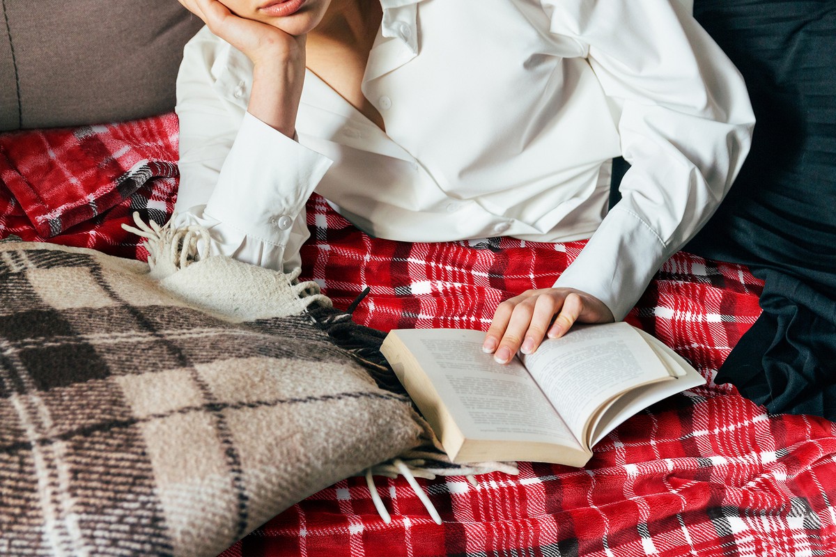 Red Plaid Sleeper Sofa Matttroy