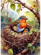 Tile Mural Bird Family in Nest Robin and Chicks Kitchen Bathroom Wall Backsplash