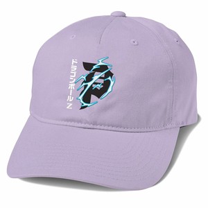 dragon ball z dad hat