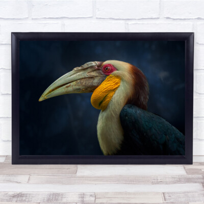 Tiere Tier Zoo Vogel Vögel Bokeh Keine Menschen Person Niemand Wandbild Druck