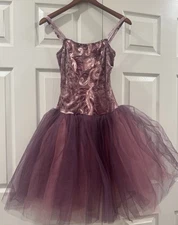 Costume Christmas Dance Recital  AM Or CL Revolution Purple Tutu Dressup