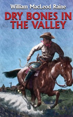 William Macleod Raine | Dry Bones in the Valley | Taschenbuch | Englisch (2018)