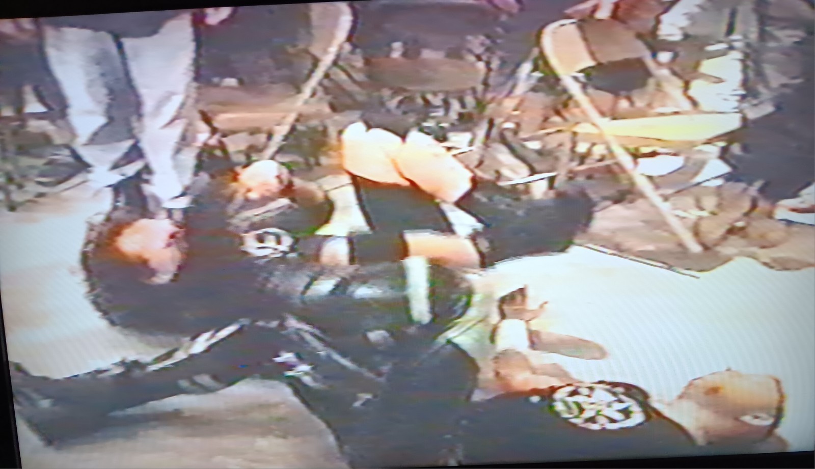 Picture 20 of 24