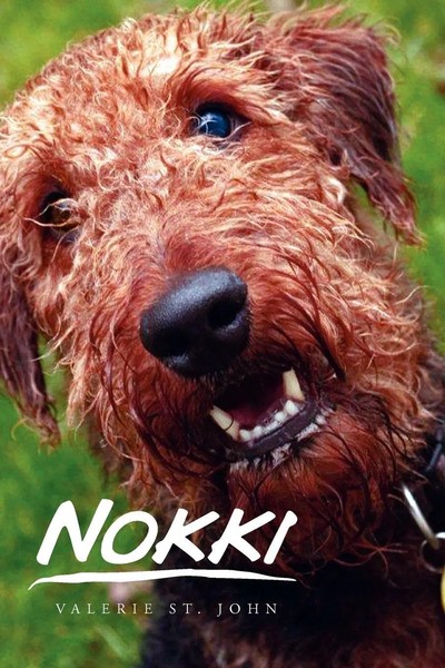 Nokki Valerie St John Taschenbuch Kartoniert / Broschiert Englisch 2010 Xlibris-image