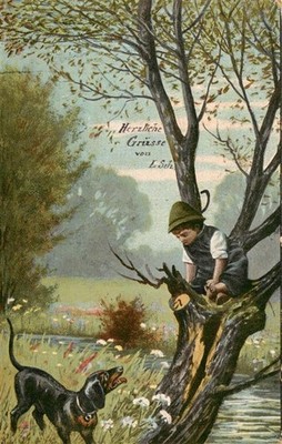 Dachshund Dachshund Teckel dogs dogs Chiens Cani child tree 