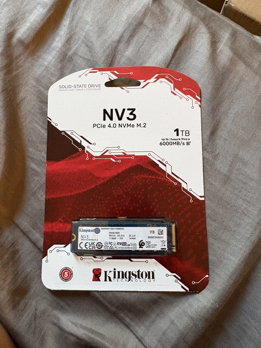 Kingston M.2 Interface 500 GB Storage Capacity Solid State Drives