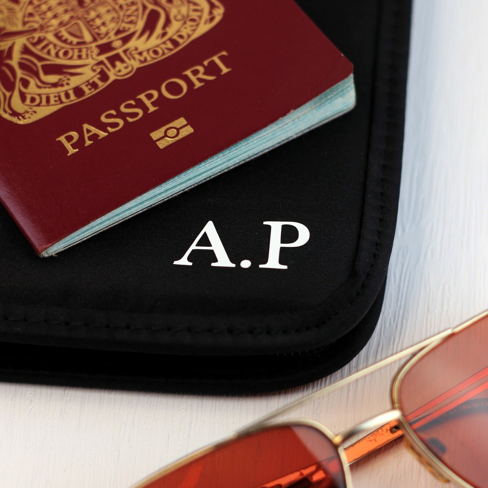 travel document organiser