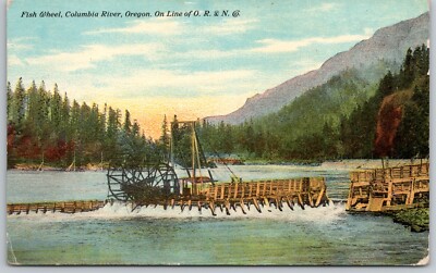 fish wheel columbia river oregon on line of o.r & n co. postcard unposted