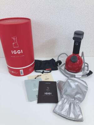 LAURASTAR IGGI Pressure Sterilization Deodorizing Handy Steamer