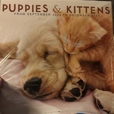    Brand New/Unopened Large  Puppies  Kittens  Calendar 12  X 12  Sept 24-Dec25