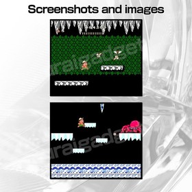 Takahashi Meijin no Bouken Jima 2 (Adventure Island II) Famicom/FC Japan HUDSON