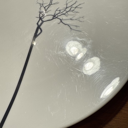 3 DIBBERN Black Forest Tree Fine Bone China large Dinner Plates 11” Germany - Picture 18 of 24