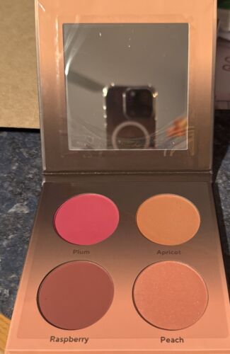 Shades By Shan Blush Palette-NEW You Are Berry Beautiful-4 Colors - Picture 4 of 4