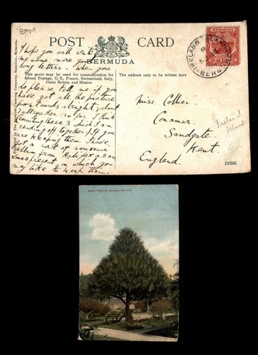 Mayfairstamps Bermuda Ireland Island to Kent England Tree Postcard aax_12021