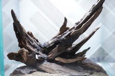  SCAPE-31 Nature Aquarium Aquascape Driftwood   1 Gallon