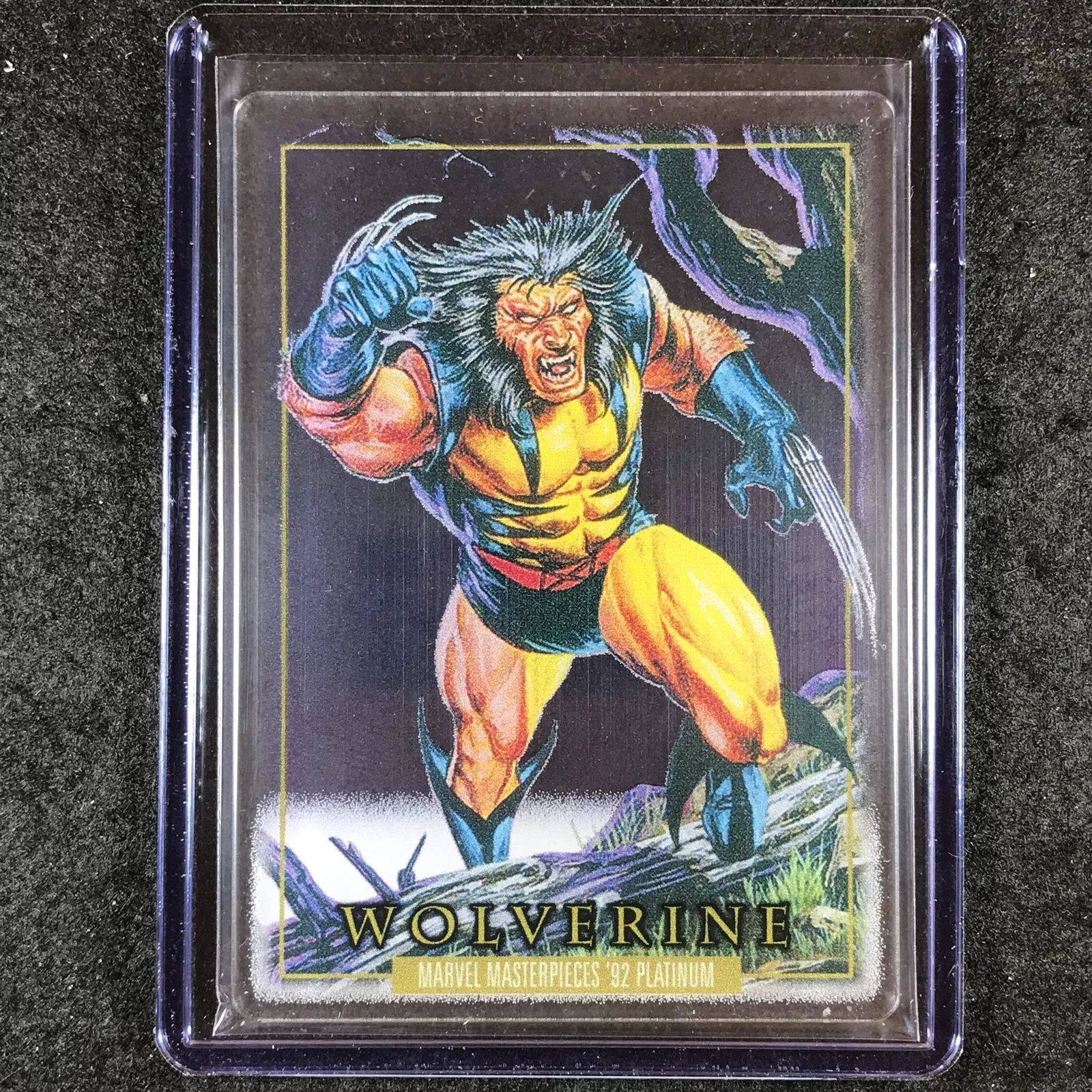 Picture 1 of 1
