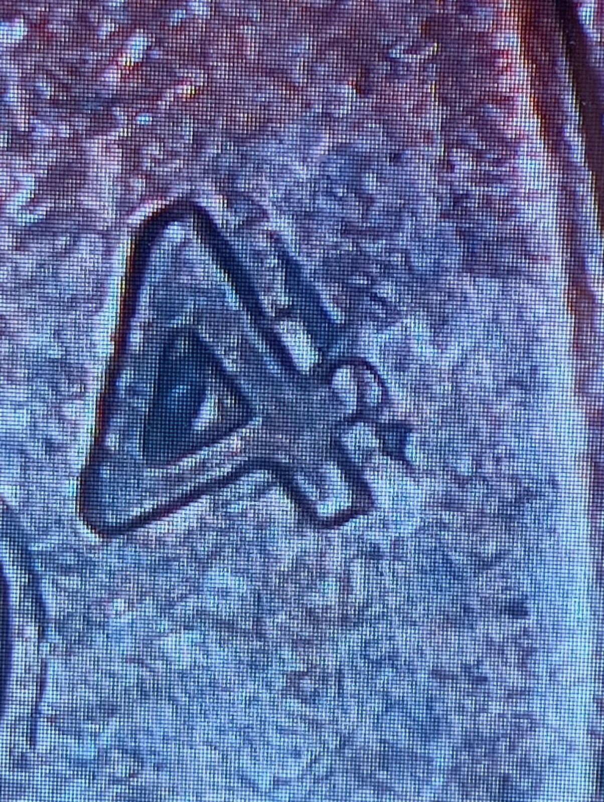 Picture 18 of 18