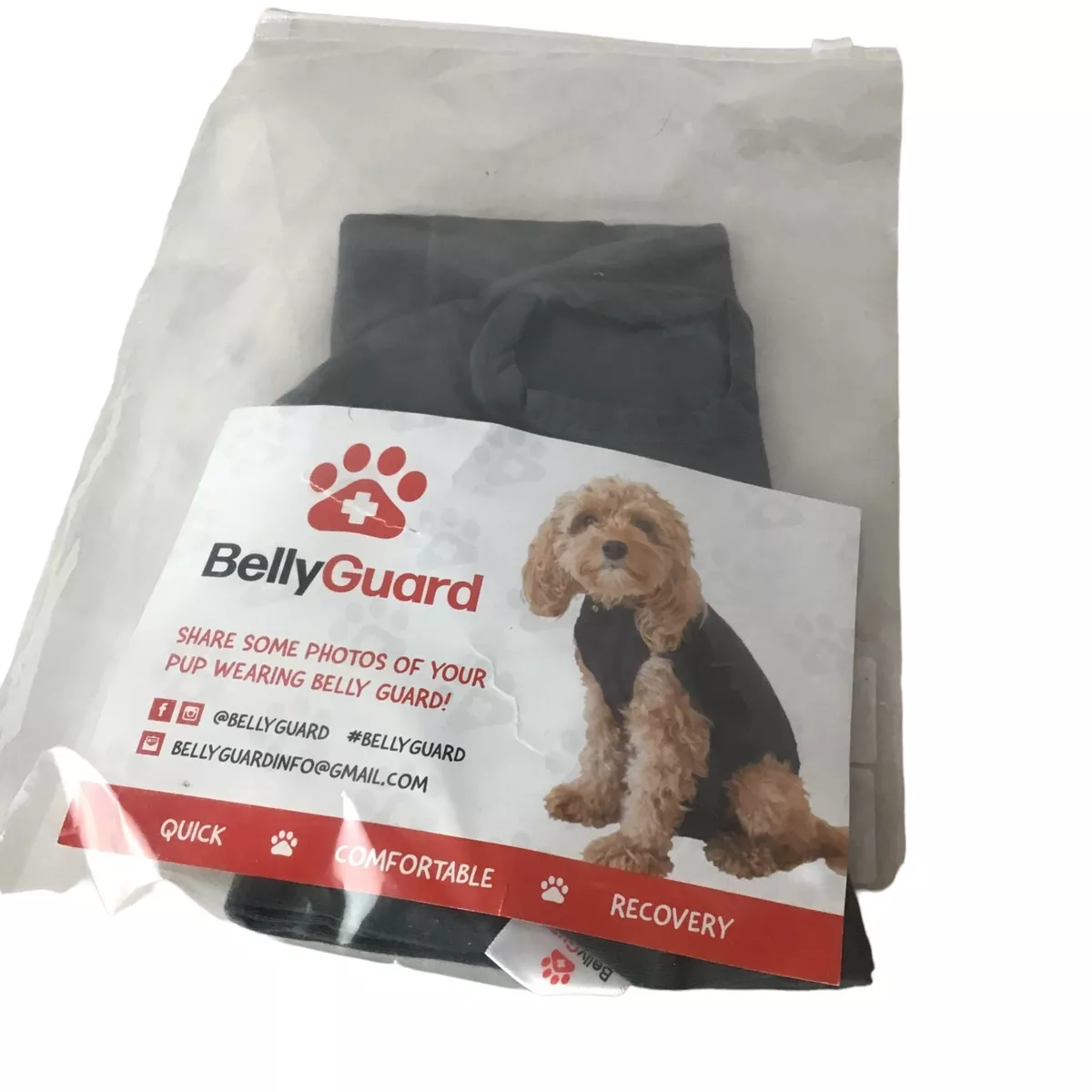 Belly Guard For Dogs Size XS Snaps Gray For Easy Potty Breaks Instructions