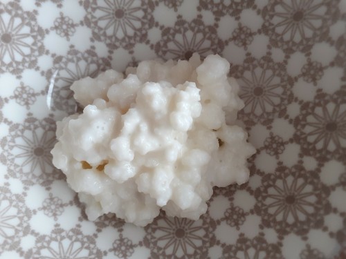 Live Milk Kefir Grains 10gm- Hygienic, High quality, Great value 1st Class Post - Picture 2 of 2