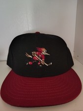 Tucson Roadrunners Made In The USA New Era Hat Size 7 1/2