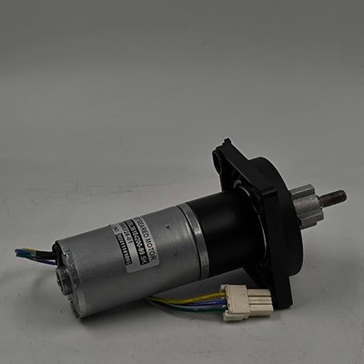 Adano RM6 PG36BL36184200-99.5K Lawn Mower Motor Working