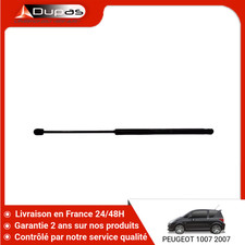 Verin de hayon / de capot Peugeot 1007