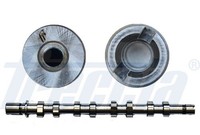 1 X Nockenwelle Freccia CM05-2183 FüR Renault Kangoo
