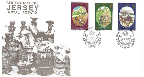 Jersey Comm/FDC -  Jersey Royal Potato - 1980- (JES285)