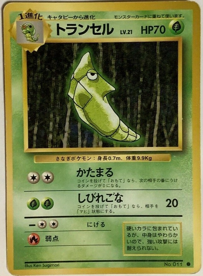 ポケモン かるた 3倍あそべる！ Pocket Monsters Pokémon ポケットモンスター 3倍まなべる！かるた ソード&シールド