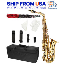 Alto E Saxophone Gold Paint With Case Gloves Cleaning Kit For Students Band