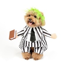 DELIFUR Dog Halloween Funny Costume - Pet Adorable X-Small, Black White