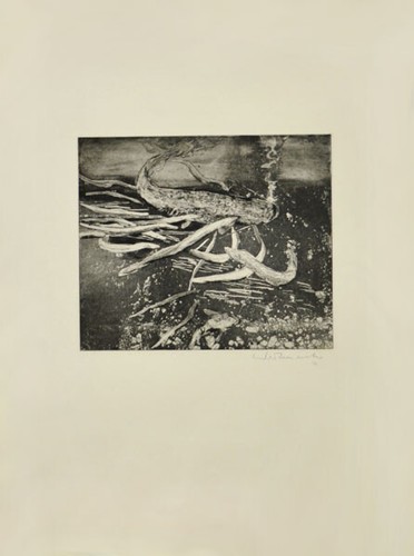 Werkmeister, underwater combat. [19]71. [Signed Original Etching].