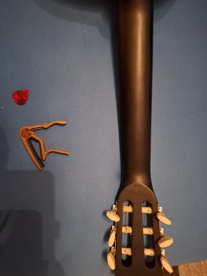 Gitarre Von Stagg