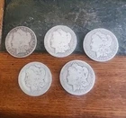 Estate Find 5 1897-1901 MORGAN Dollars Lot