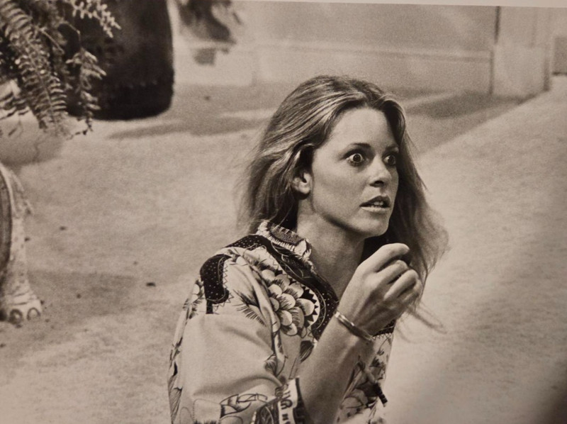 ABC Vintage 7x9 Press Photo Lindsay Wagner The Bionic Woman 
