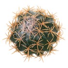 Kaktusförmiger Antennenaufsatz, lustige Auto-Antennen-Dekoration, niedliches