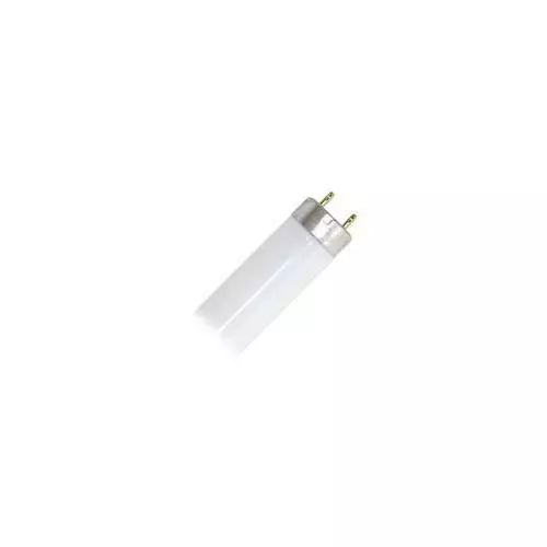 Philips 152041 F32T8 TL841 XLL ALTO Straight T8 Fluorescent Tube Light Bulb