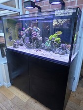 Red Sea Reefer G2+ XL 425 Aquarium with sump, cabinet and pipework.