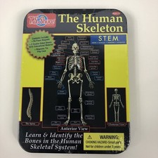 TS Shure The Human Skeleton Magnetic Science Tin Stem Activity Learning Bones