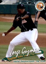 2018 Florida State League Top Prospects #11 Jorge Guzman Dominican Republic Card