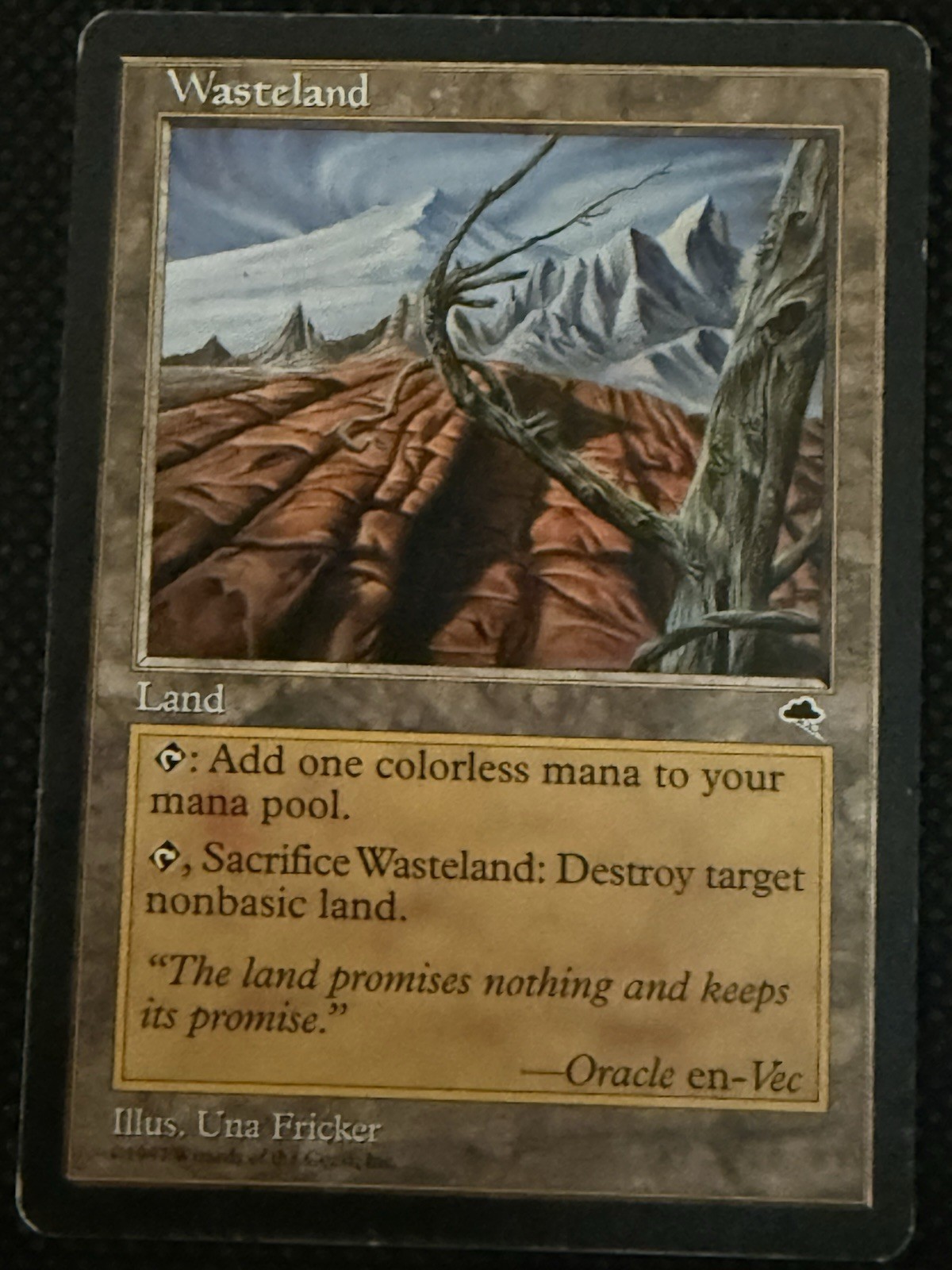 Wasteland Tempest Magic the Gathering Land  MtG