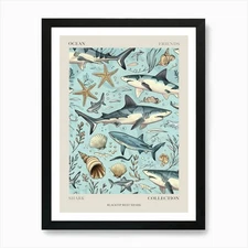 Pastel Blue Blacktip Reef Shark Wat Framed Wall Art Poster Canvas Print Picture