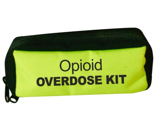 Iron Duck 36010-Sy Overdose Bag, Nylon, 7 1/2 In L, 3 1/2 In W, Yellow