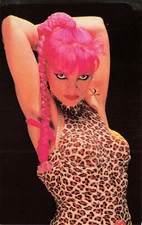 Nina Hagen German Singer Sexy Pose Pink Hair Vintage Postcard 