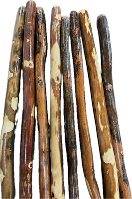 Natural Ozark Hiking & Walking Sticks 54'' Height