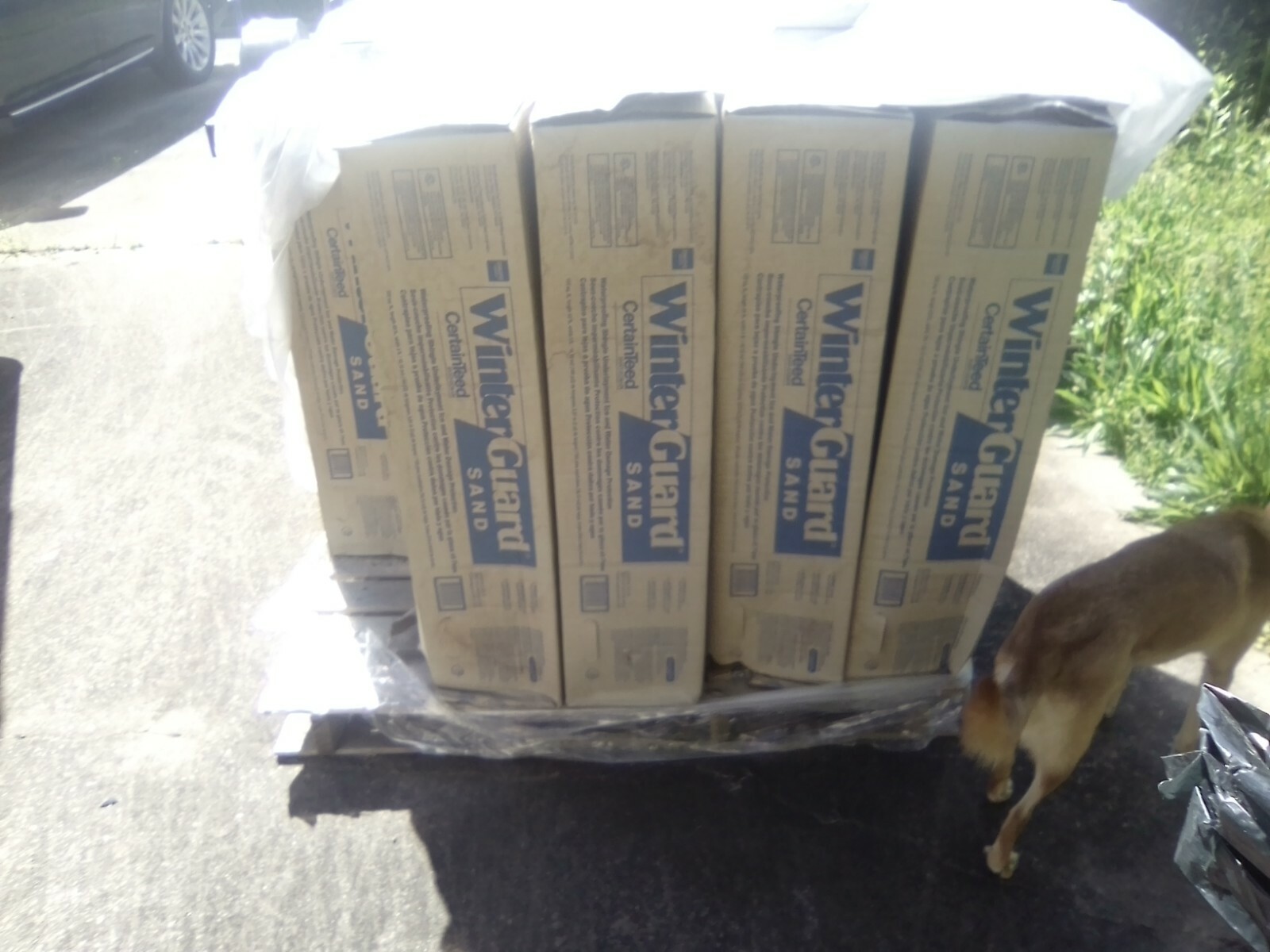 CertainTeed WinterGuard Sand Underlayment eBay