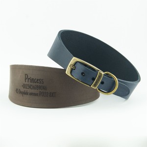 king charles puppies near me